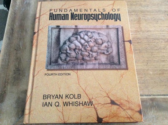 Bryan Kolb Fundamentals Of Human Neuropsychology