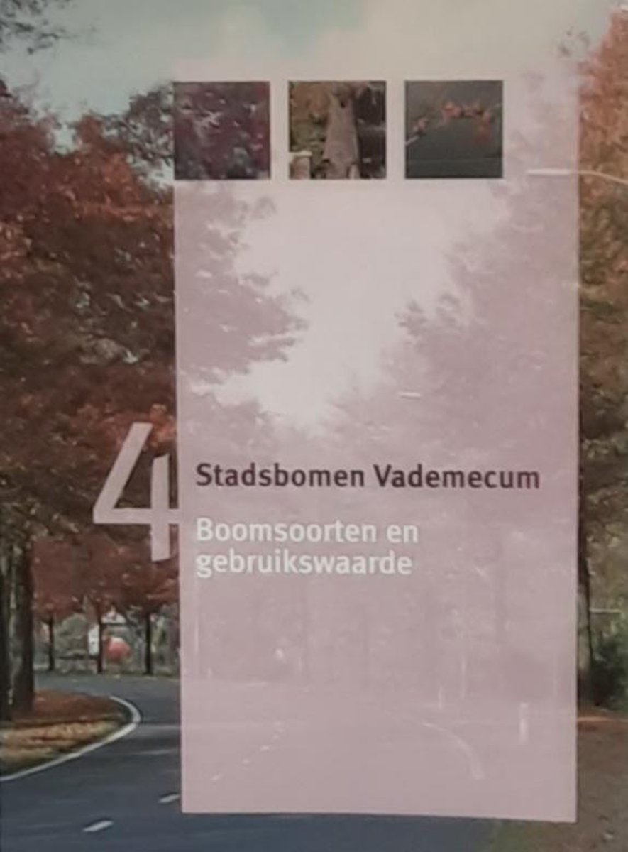 Boomsoorten en gebruikswaarde / Stadsbomen vademecum / 4