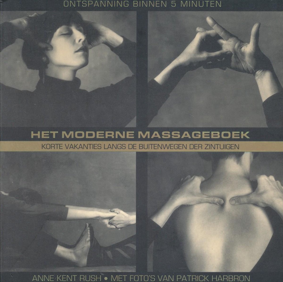 Het moderne massageboek