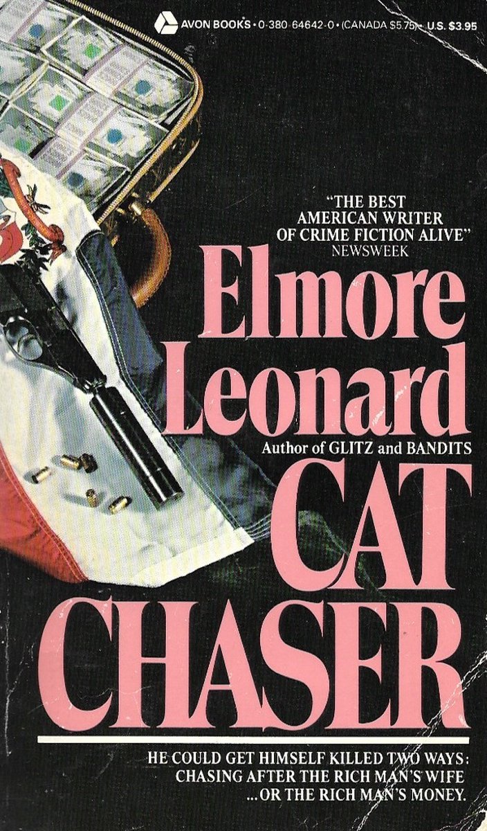 Cat Chaser