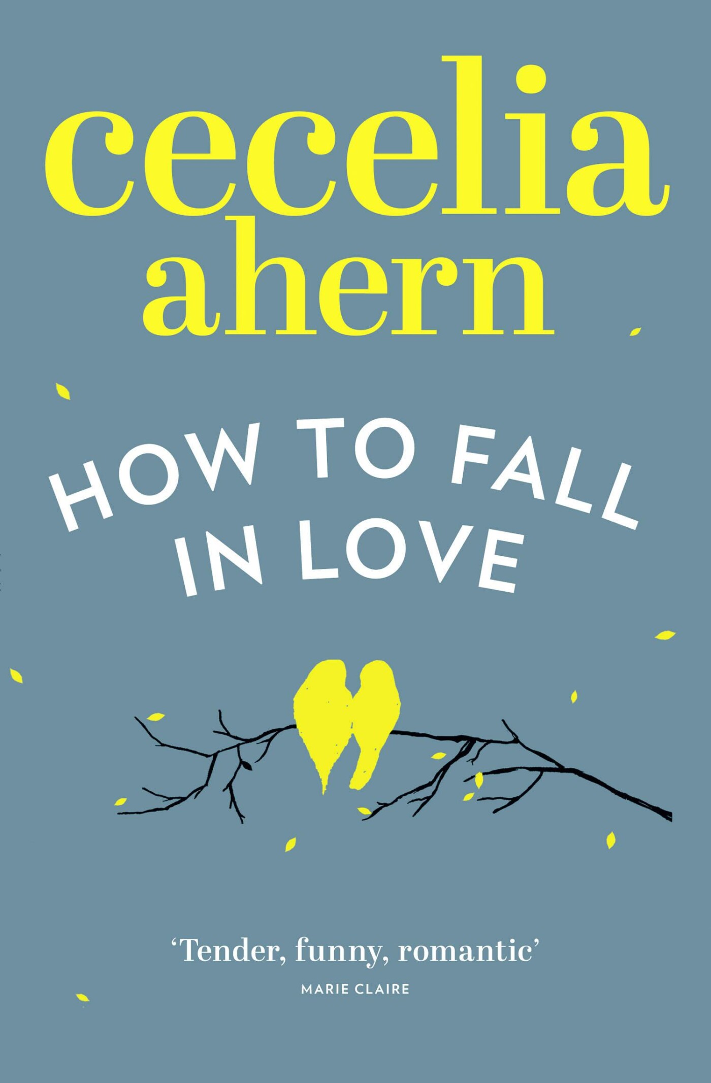 Cecelia Ahern How To Fall In Love thumbnail