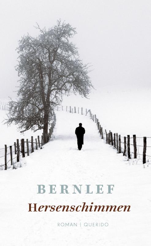 Bernlef Hersenschimmen thumbnail