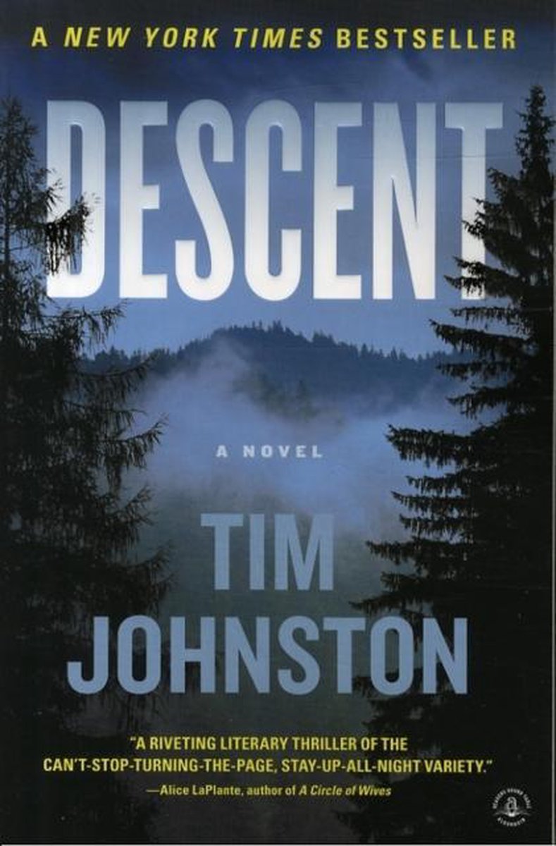 Tim Johnston Descent thumbnail