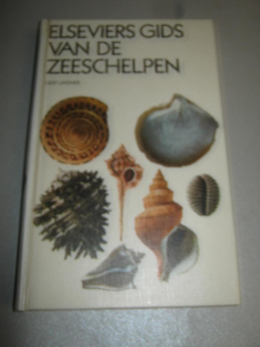 Elseviers gids zeeschelpen