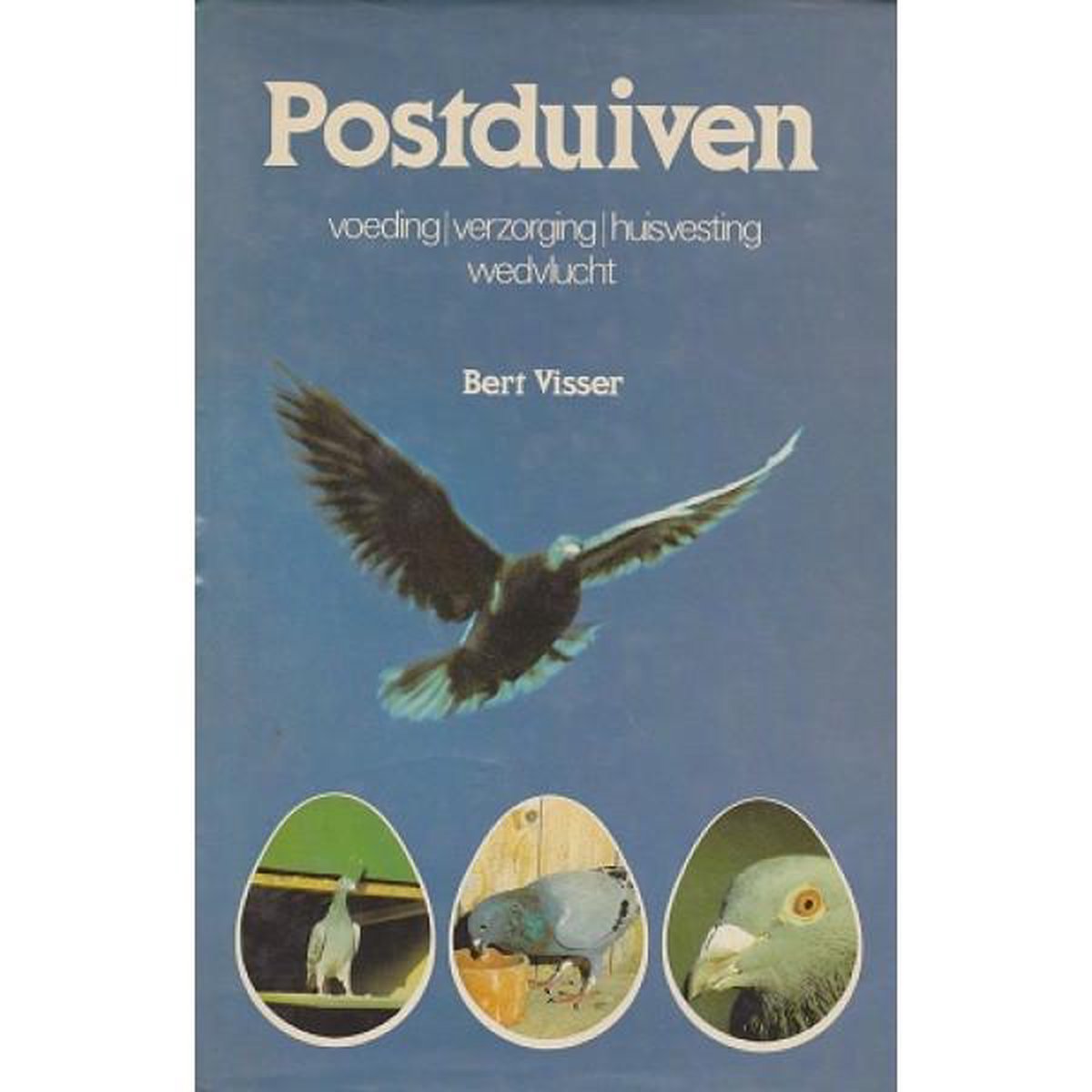 Postduiven