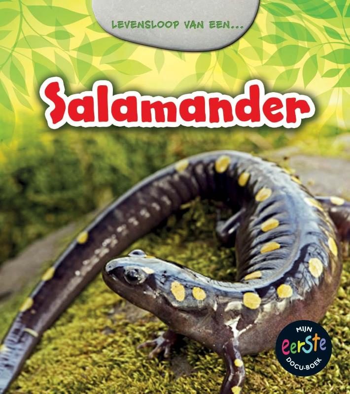 Salamander / Mijn eerste docuboek