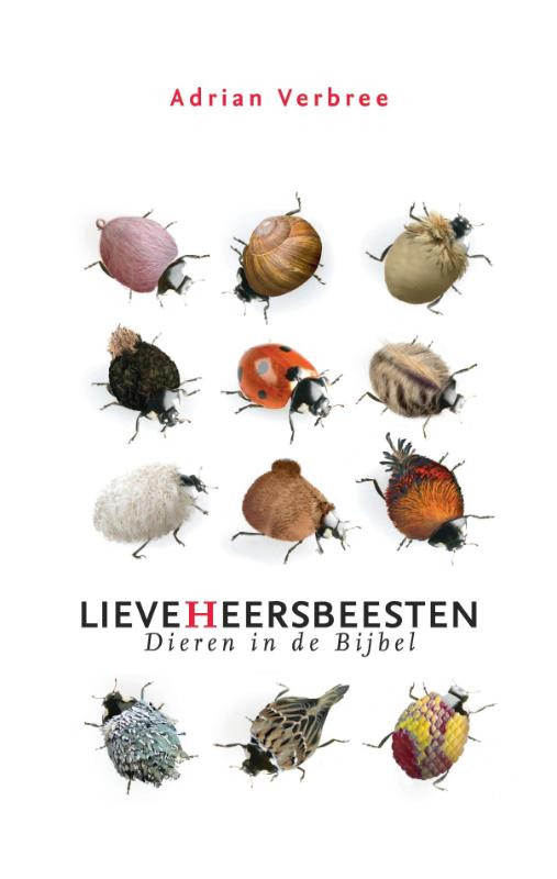 A. Verbree Lieveheersbeesten thumbnail