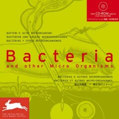 Bacteria & Other Micro Organisms