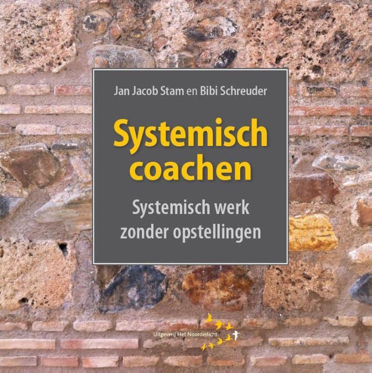 boekenbalie_9789492331366_cover Systemisch coachen