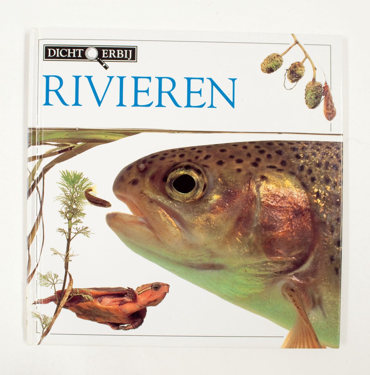 Greenaway Dicht Erby Rivieren thumbnail