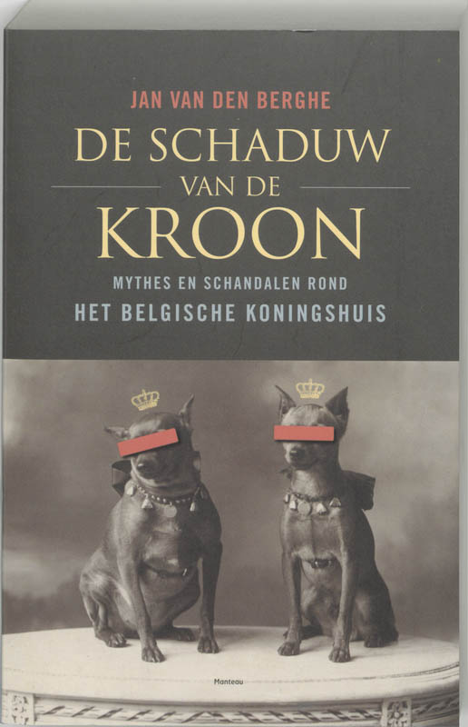boekenbalie_9789022319239_cover De schaduw van de kroon
