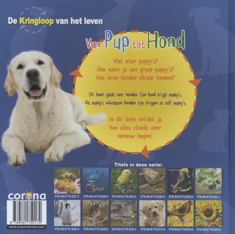 Van pup tot hond / De Kringloop van het Leven achterkant