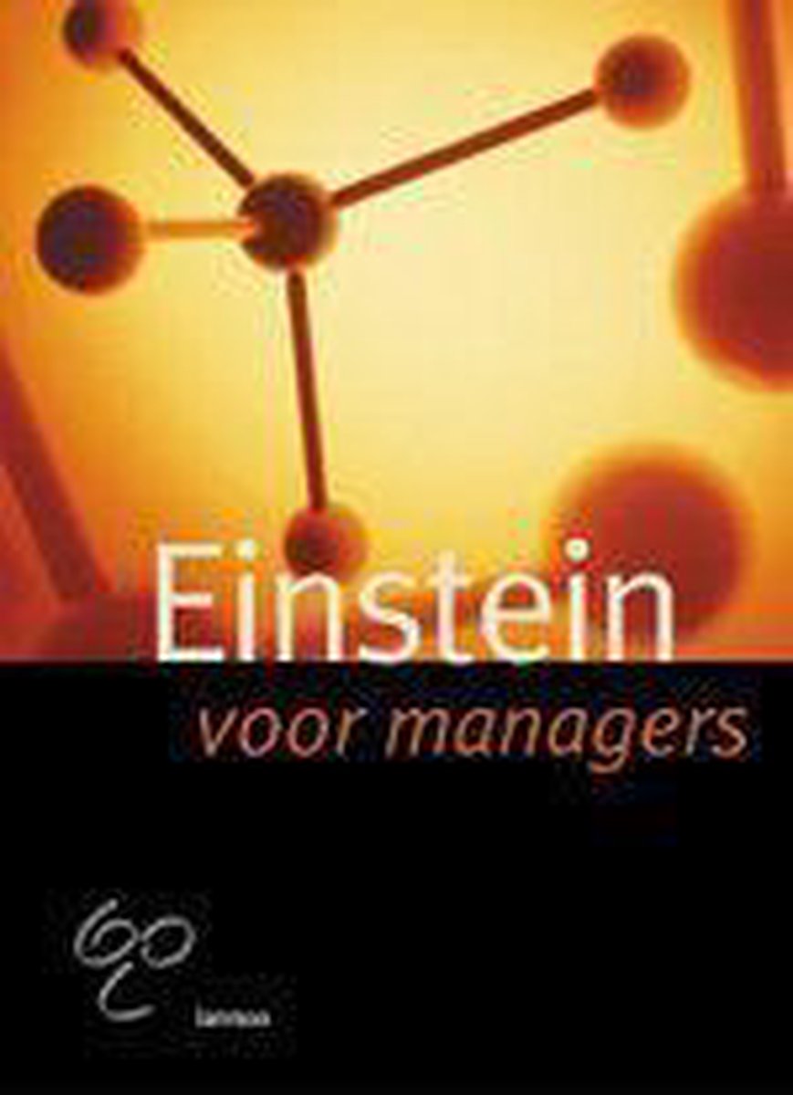 Einstein Voor Managers