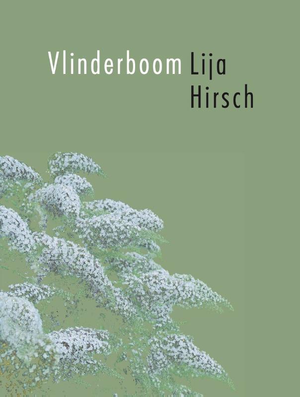 Vlinderboom