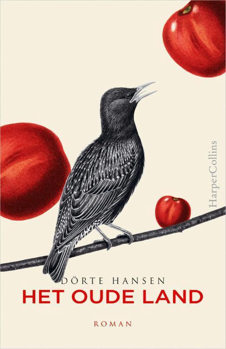 boekenbalie_9789402713305_cover Het oude land