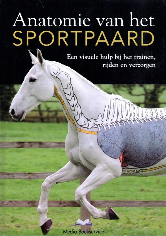 Anatomie van het sportpaard