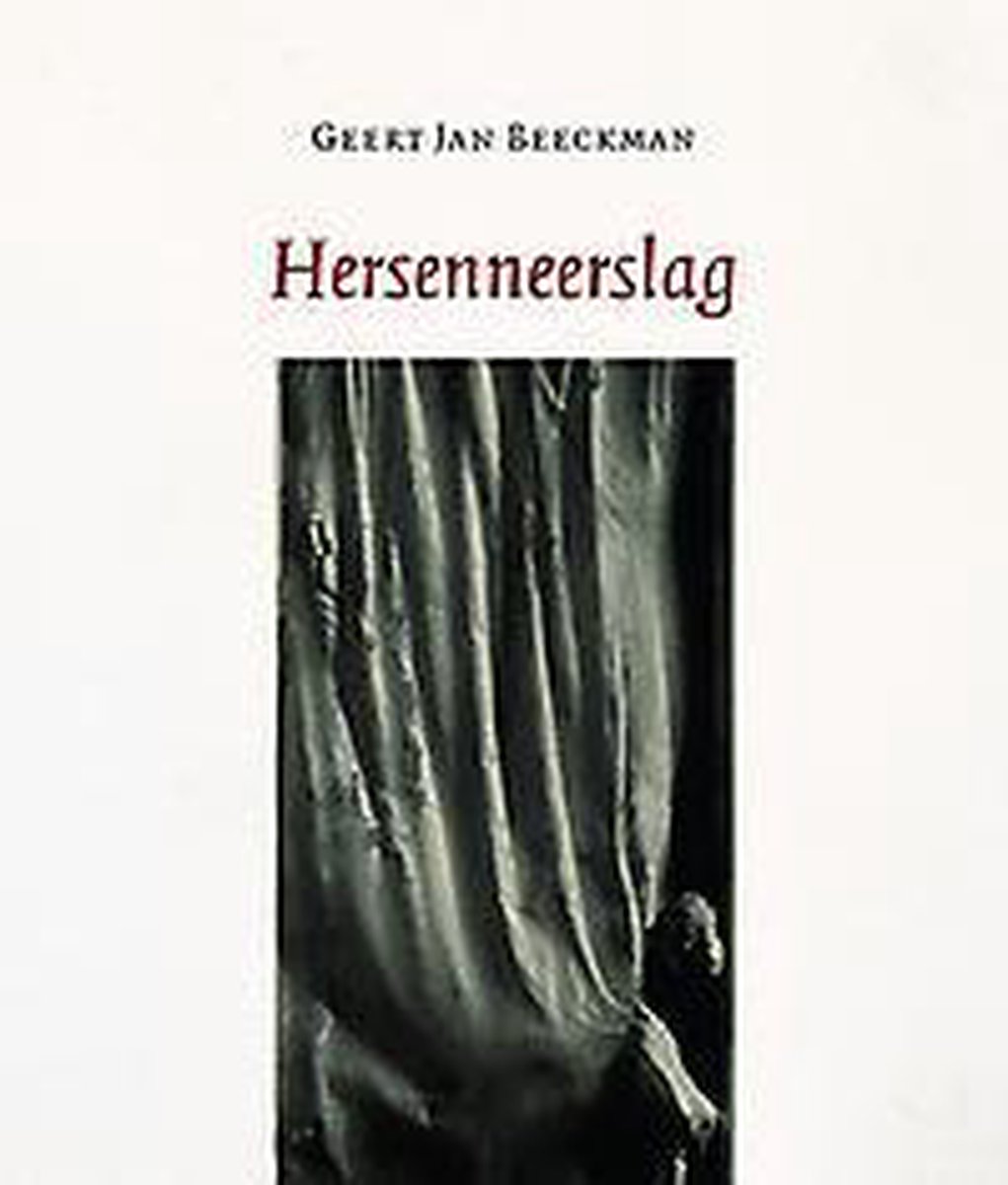 boekenbalie_9789079433896_cover Hersenneerslag