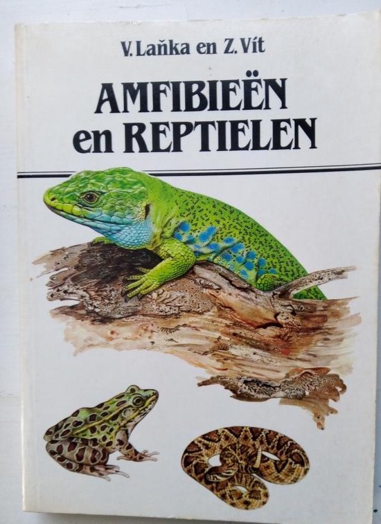 Amfibieen en reptielen