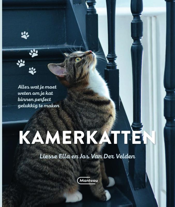 Jos Van Der Velden Kamerkatten thumbnail