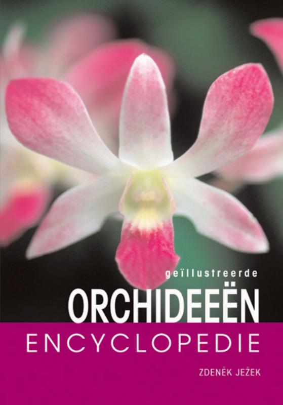 boekenbalie_9789036615662_cover Geillustreerde orchideeen encyclopedie / Encyclopedie