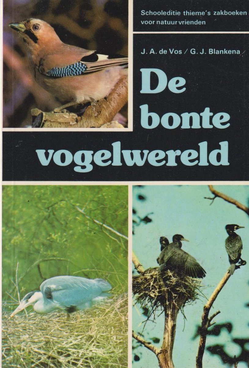 Bonte vogelwereld