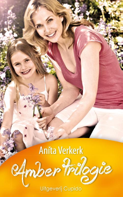 boekenbalie_9789462041981_cover Amber trilogie