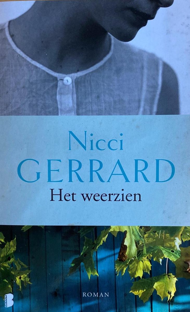 boekenbalie_9789022575475_cover Het weerzien