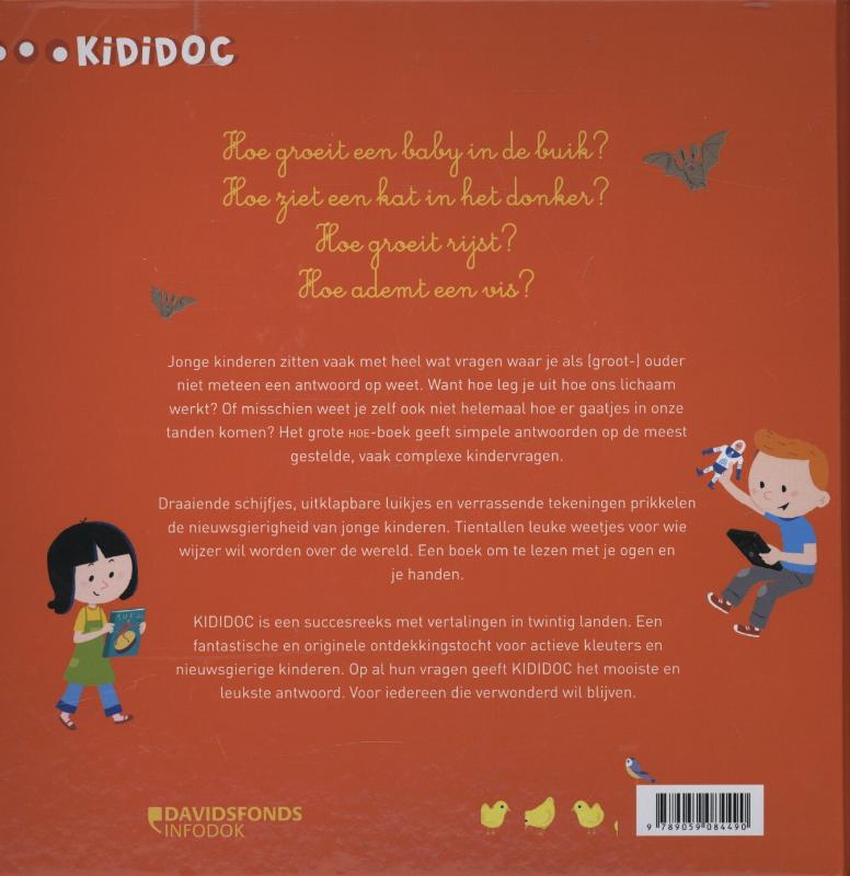 Het grote kididoc hoe boek achterkant