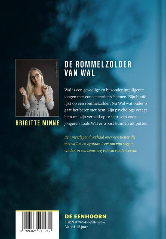 De rommelzolder van Wal achterkant