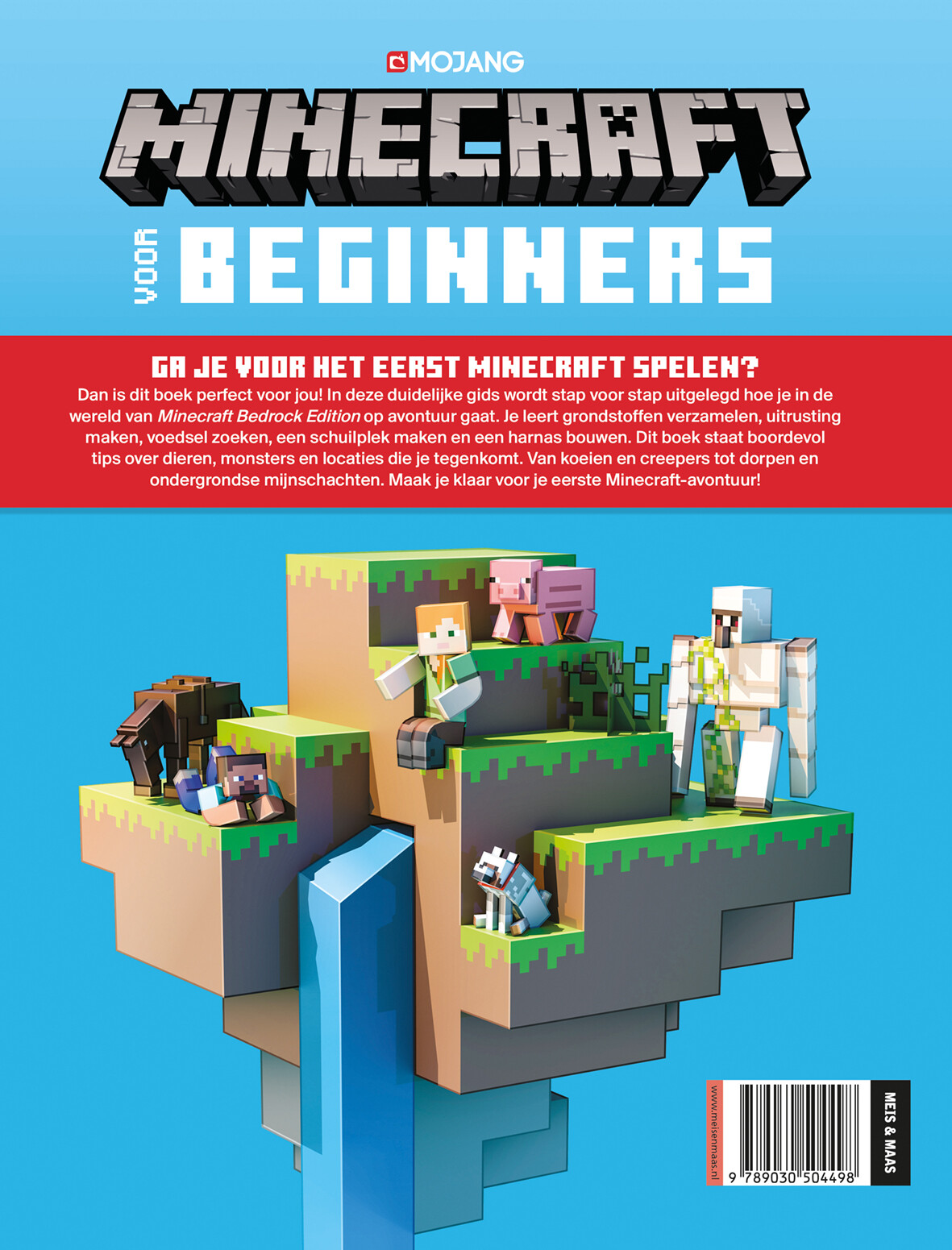 Minecraft voor beginners / Minecraft / 1 achterkant
