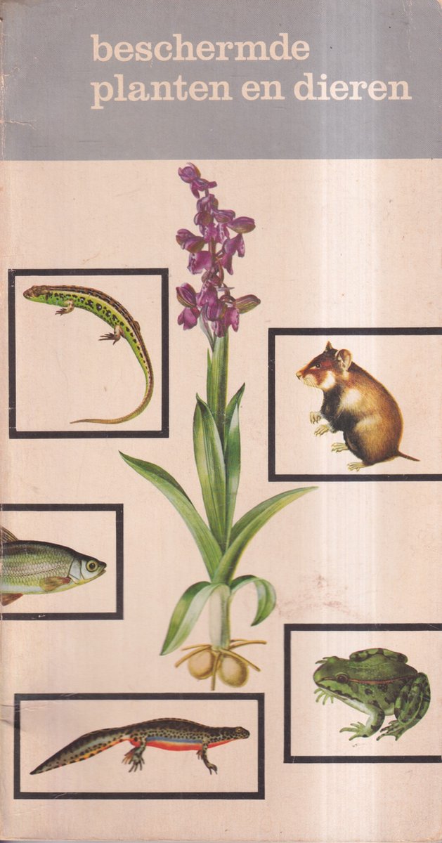 boekenbalie_9789012001212_cover Beschermde planten en dieren