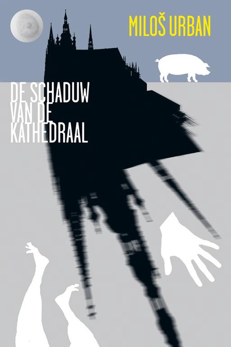 boekenbalie_9789491738173_cover De schaduw van de kathedraal