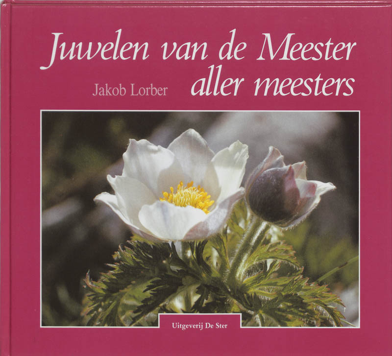 boekenbalie_9789065561220_cover Juwelen Van De Meester Aller Meesters