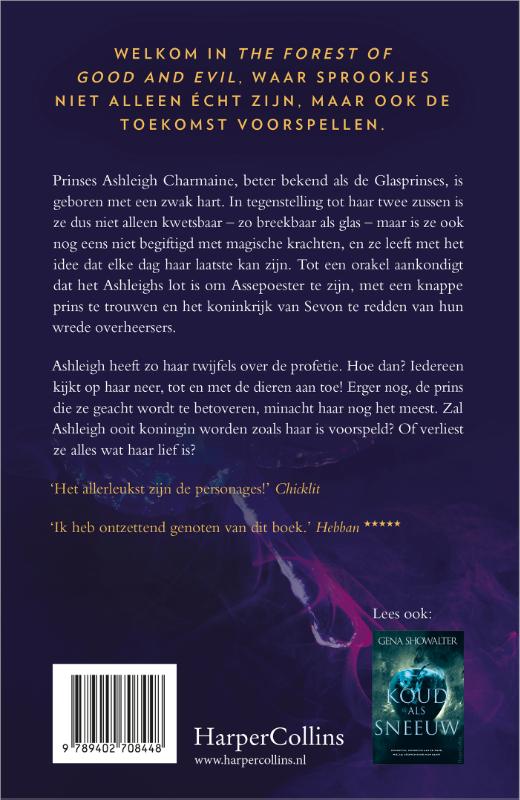 Breekbaar als glas / The Forest of Good and Evil / 2 achterkant