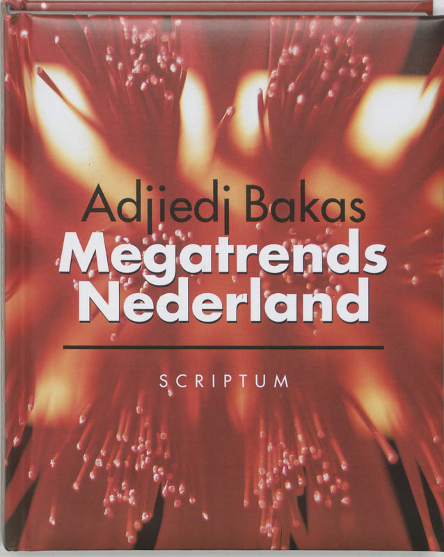 boekenbalie_9789055943814_cover Megatrends Nederland