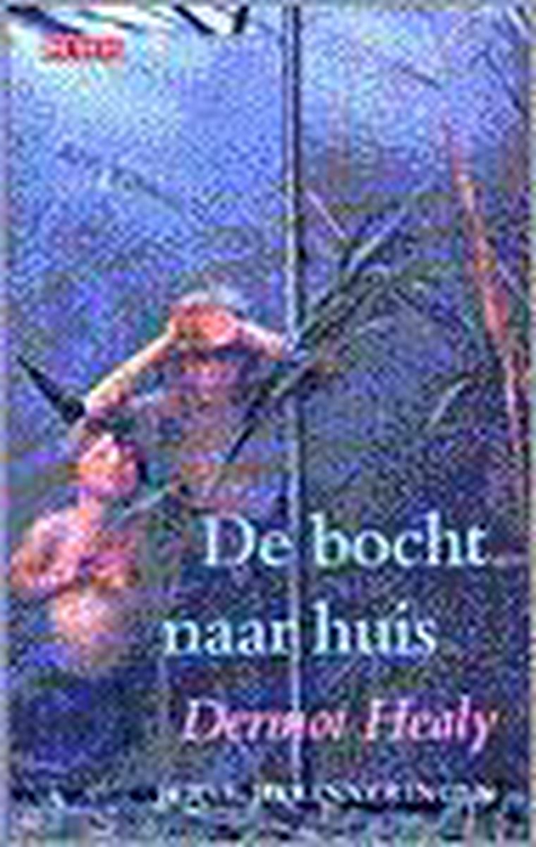 D. Healy Bocht Naar Huis