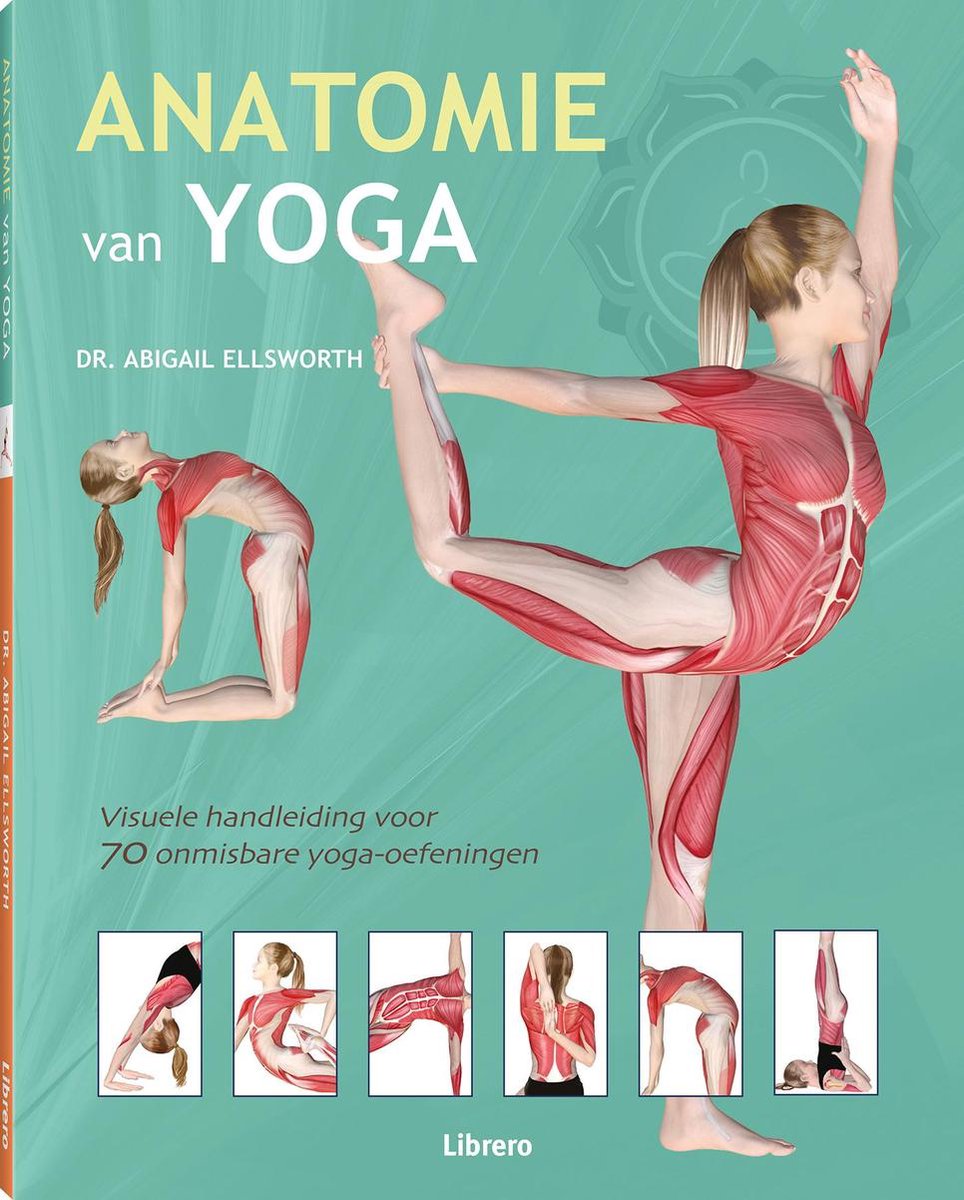 Abigail Ellsworth Anatomie Van Yoga thumbnail