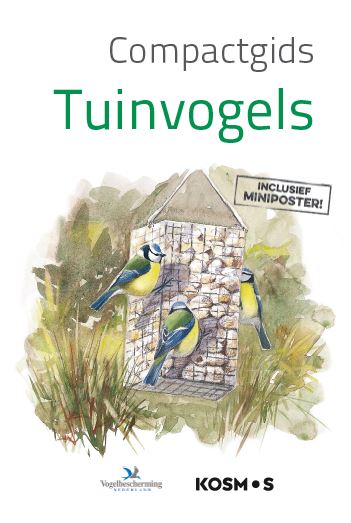 Bloomsbury Tuinvogels / Compactgids thumbnail