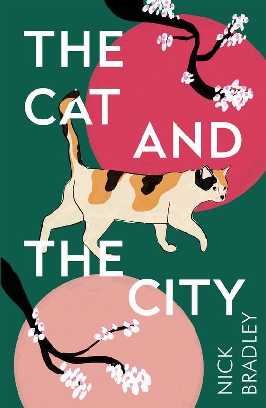 The cat and the city