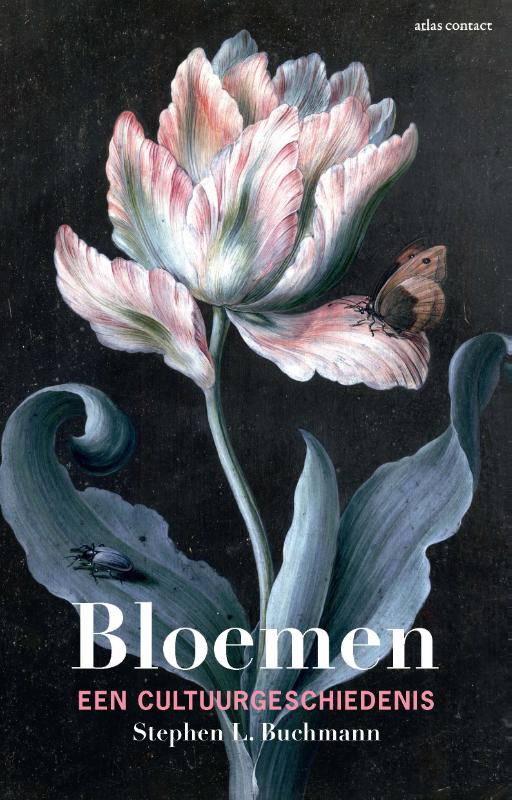 Stephen Buchmann Bloemen thumbnail