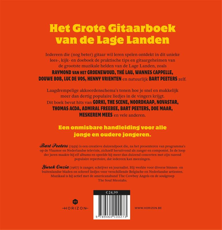 Leren gitaar spelen achterkant