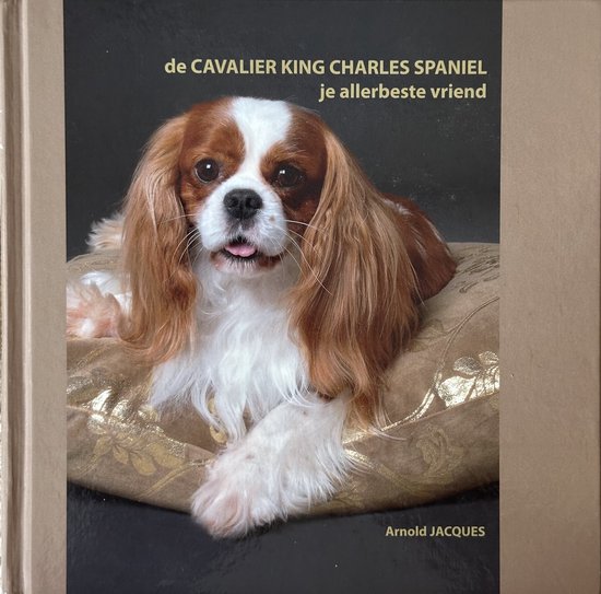 A. Jacques De Cavalier King Charles Spaniel, Je Allerbeste Vriend