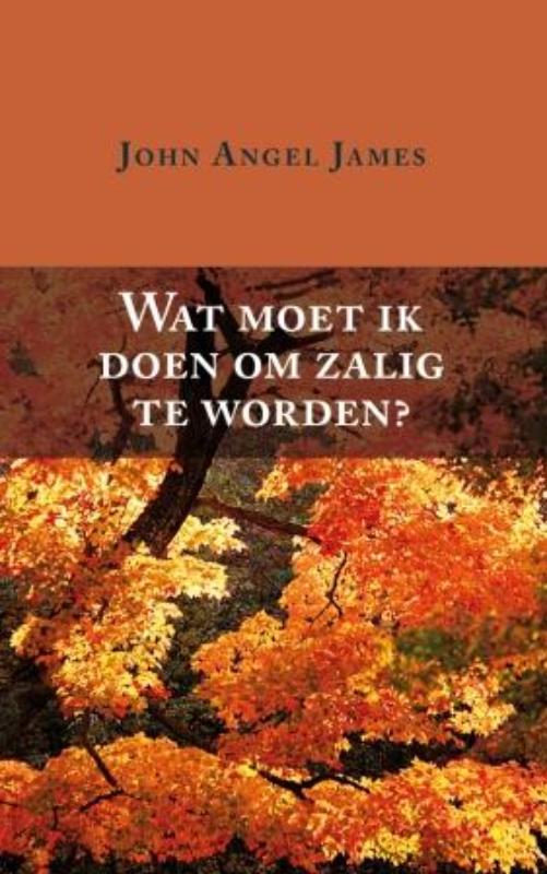 Wat moet ik doen om zalig te worden?