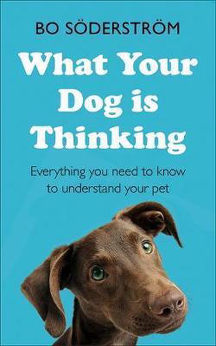 What Your Dog Is Thinking Everything you need to know to understand your pet