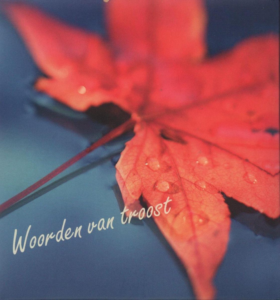 boekenbalie_9789033119439_cover Woorden van troost