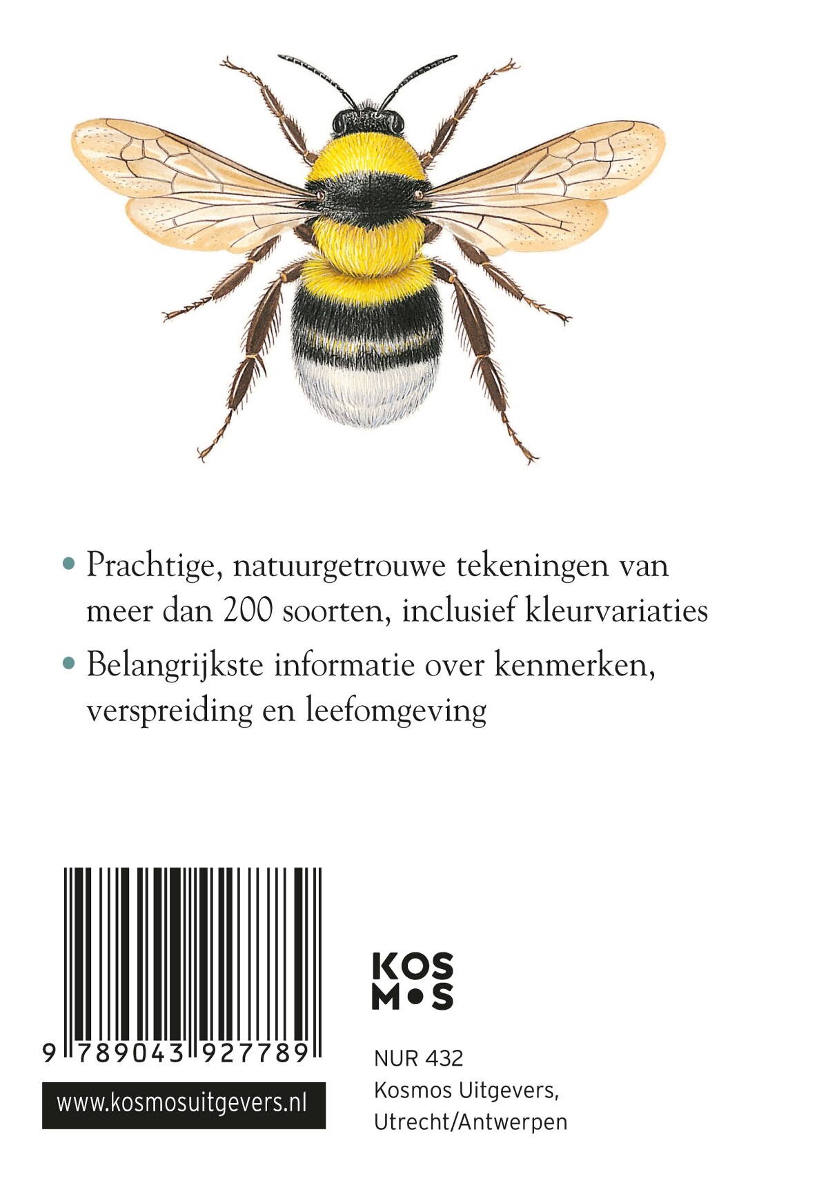 Insecten / Compactgidsen achterkant