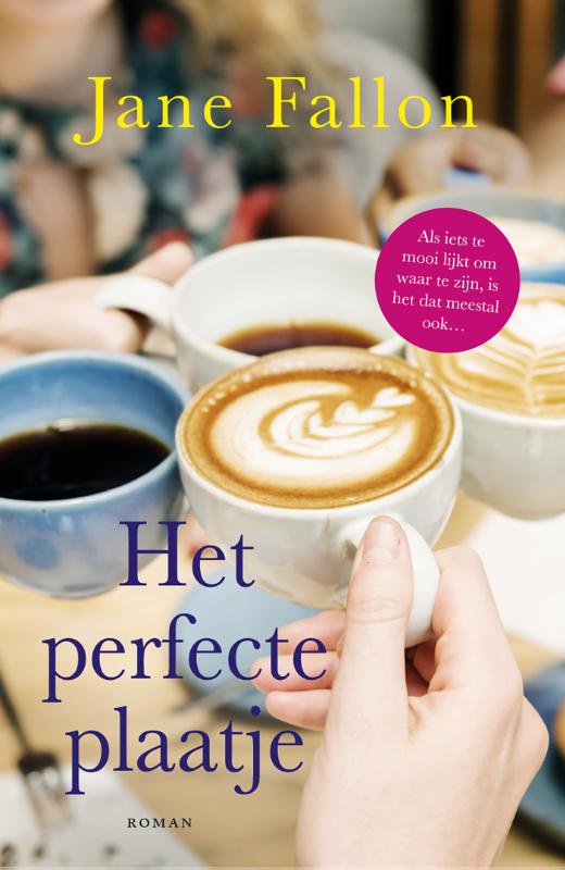 Jane Fallon Het Perfecte Plaatje thumbnail
