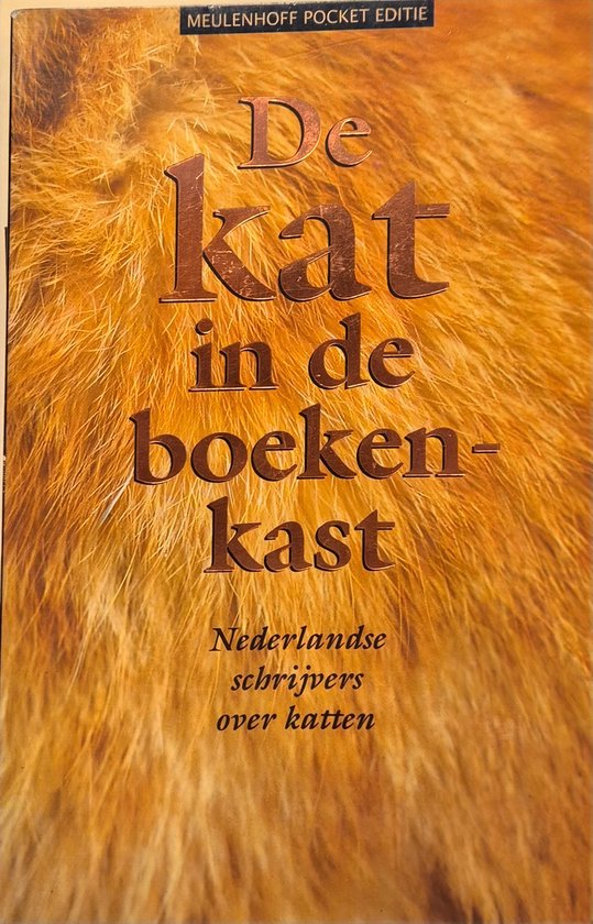 De kat in de boekenkast