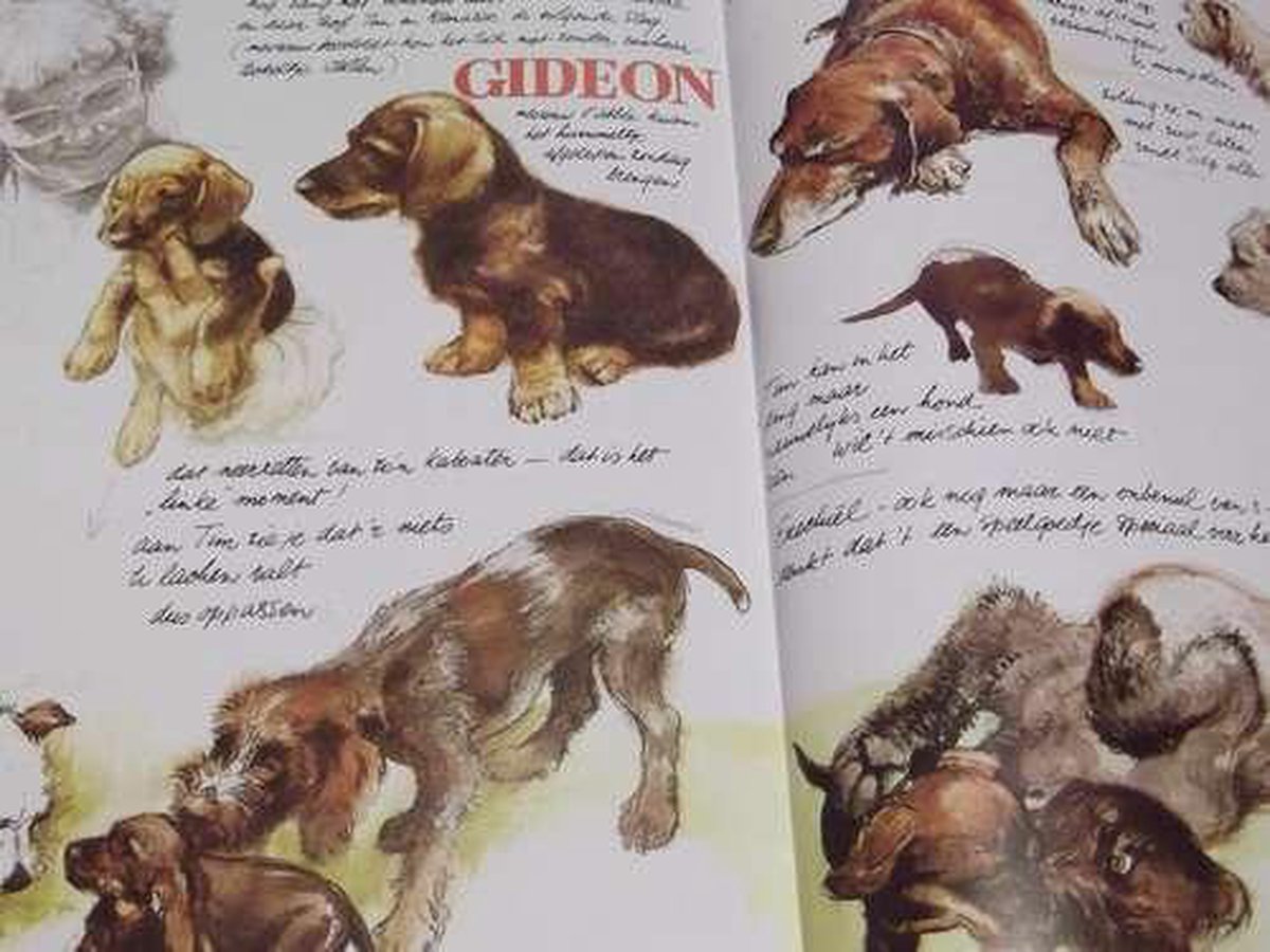 boekenbalie_9789026948794_cover BRAAF