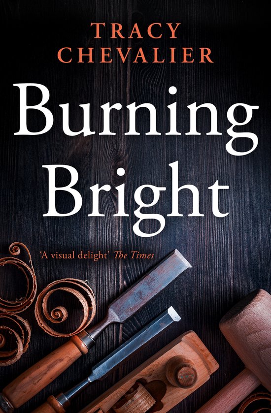Tracy Chevalier Burning Bright thumbnail
